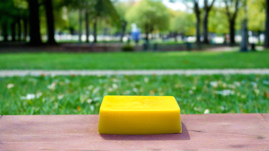 Beeswax Bar 12 oz. 100% Pure and Natural, Filtered