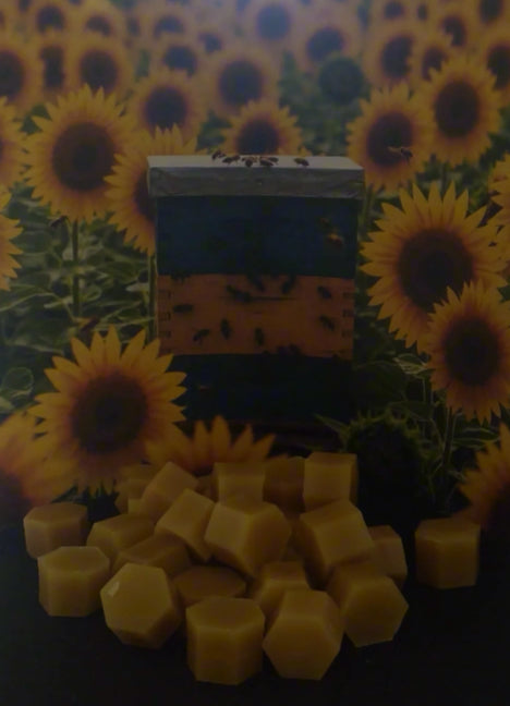 Beeswax bulk cubes