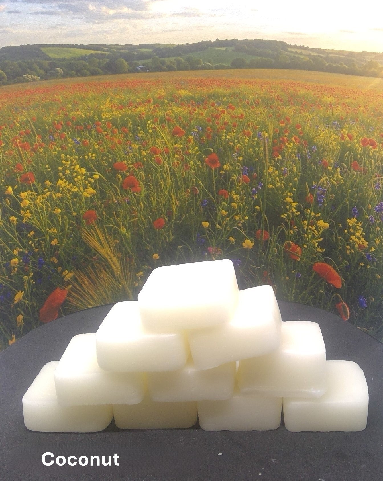 Soy wax melts - Scented
