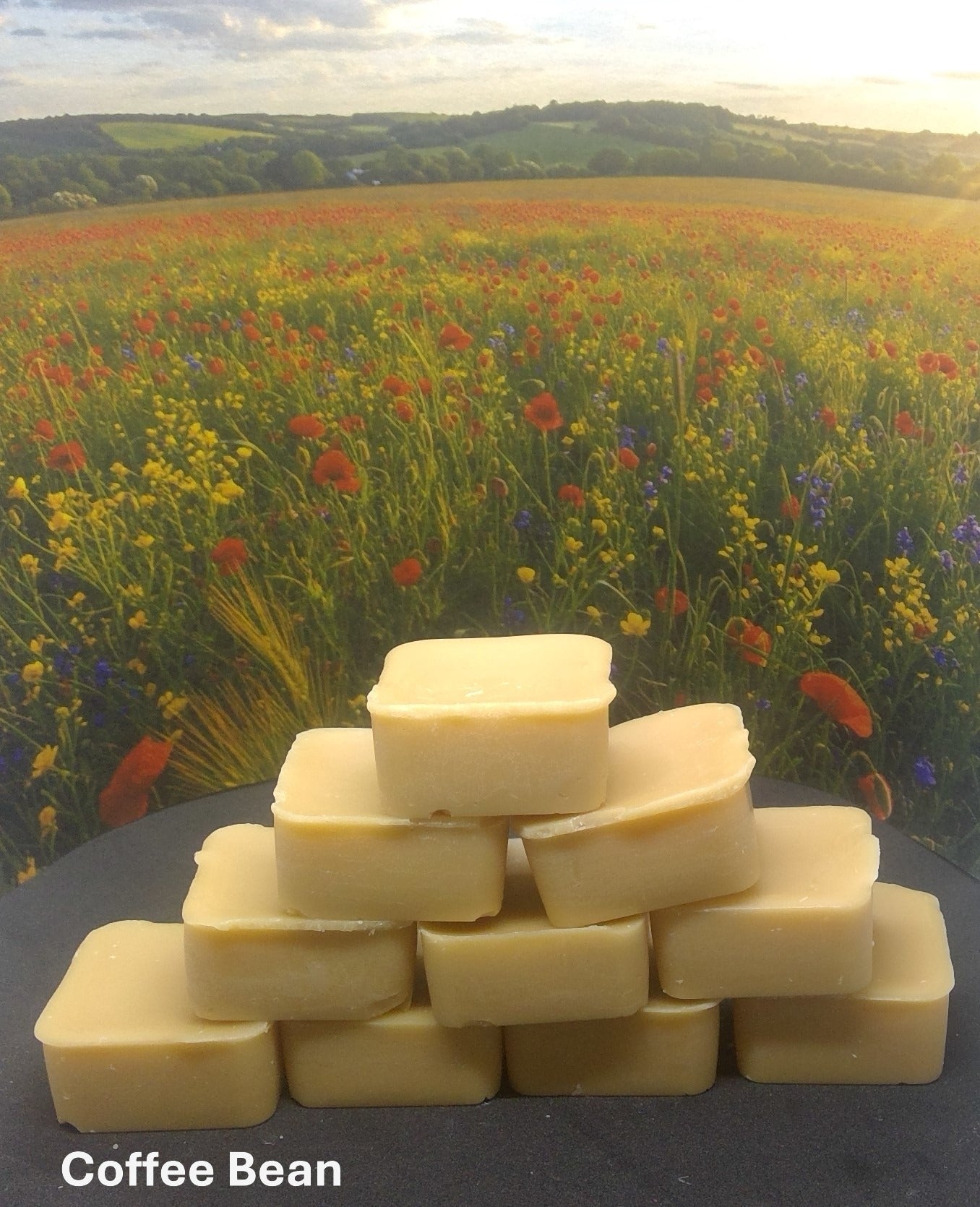 Coffee Bean Soy Wax Melt