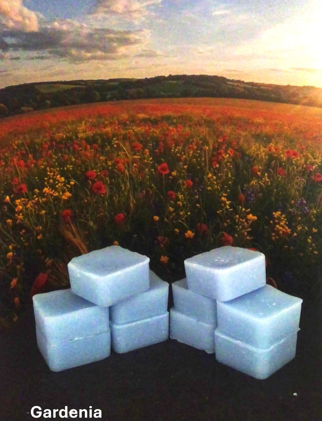 Gardenia Soy Wax Melt